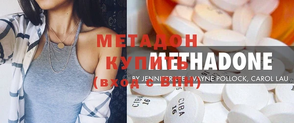 шишки Корсаков