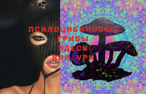 спиды Козловка