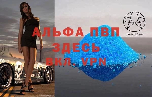 индика Кодинск